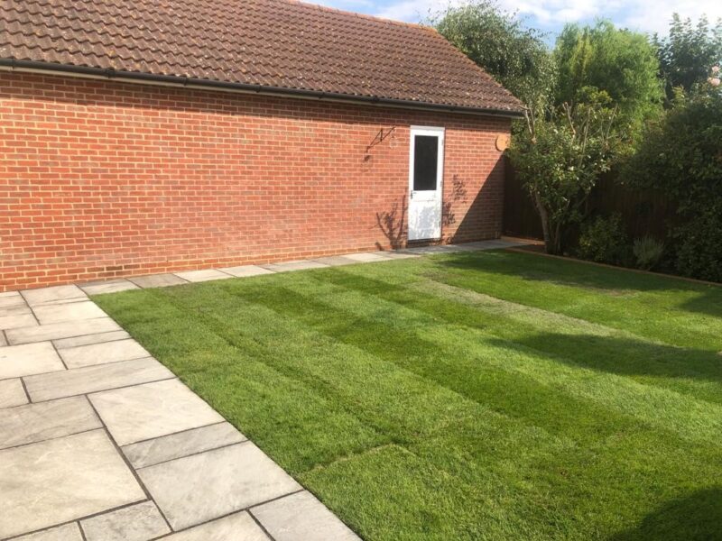 Lawn Turfing